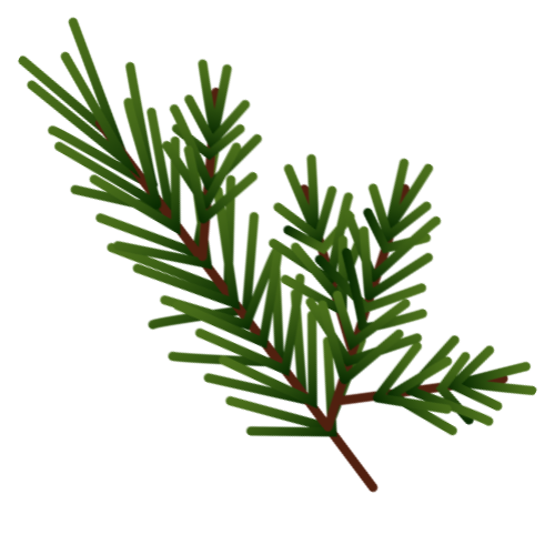 Evergreen Career Counselling
